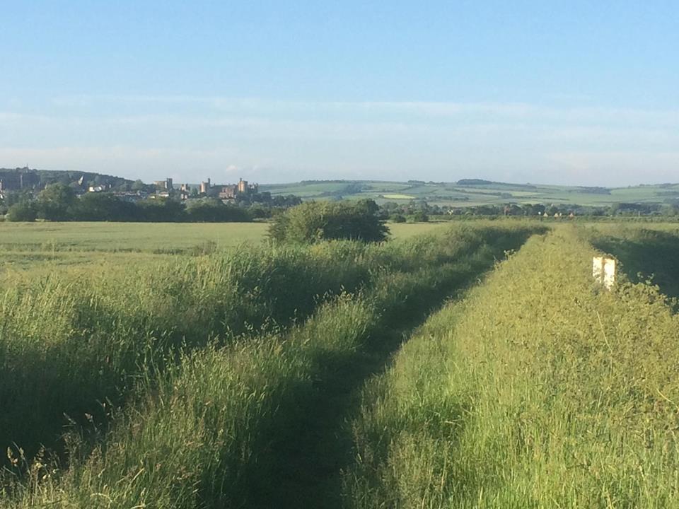 South Downs National Park with Arundel Castle 